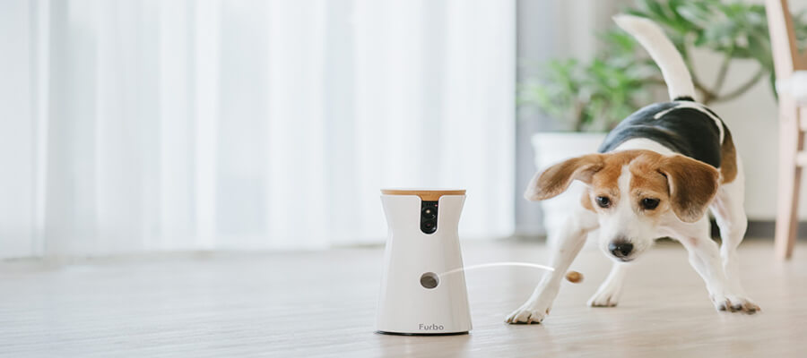 The Best Home Security Systems for Dog Owners